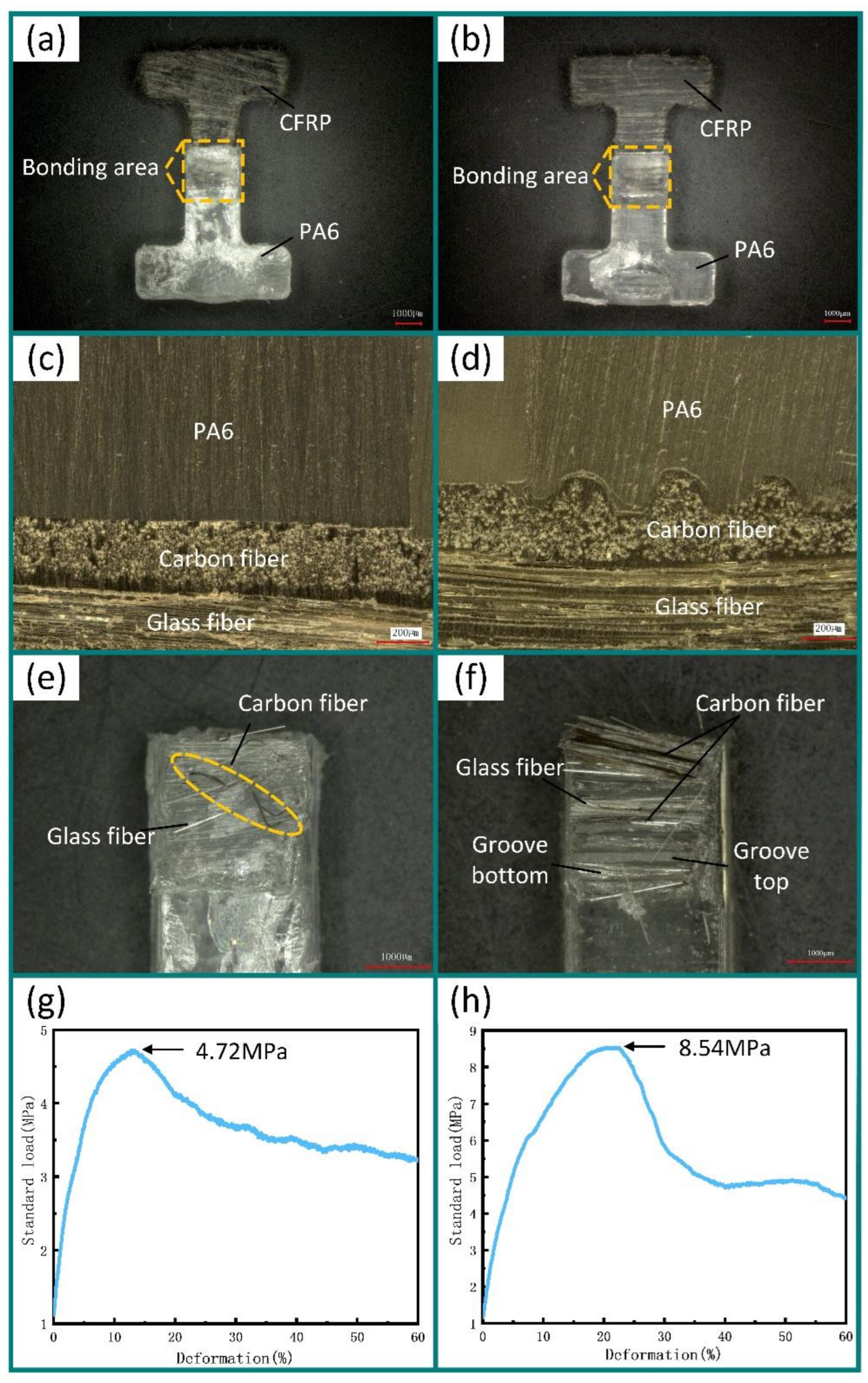 Polymers 13 04039 g008