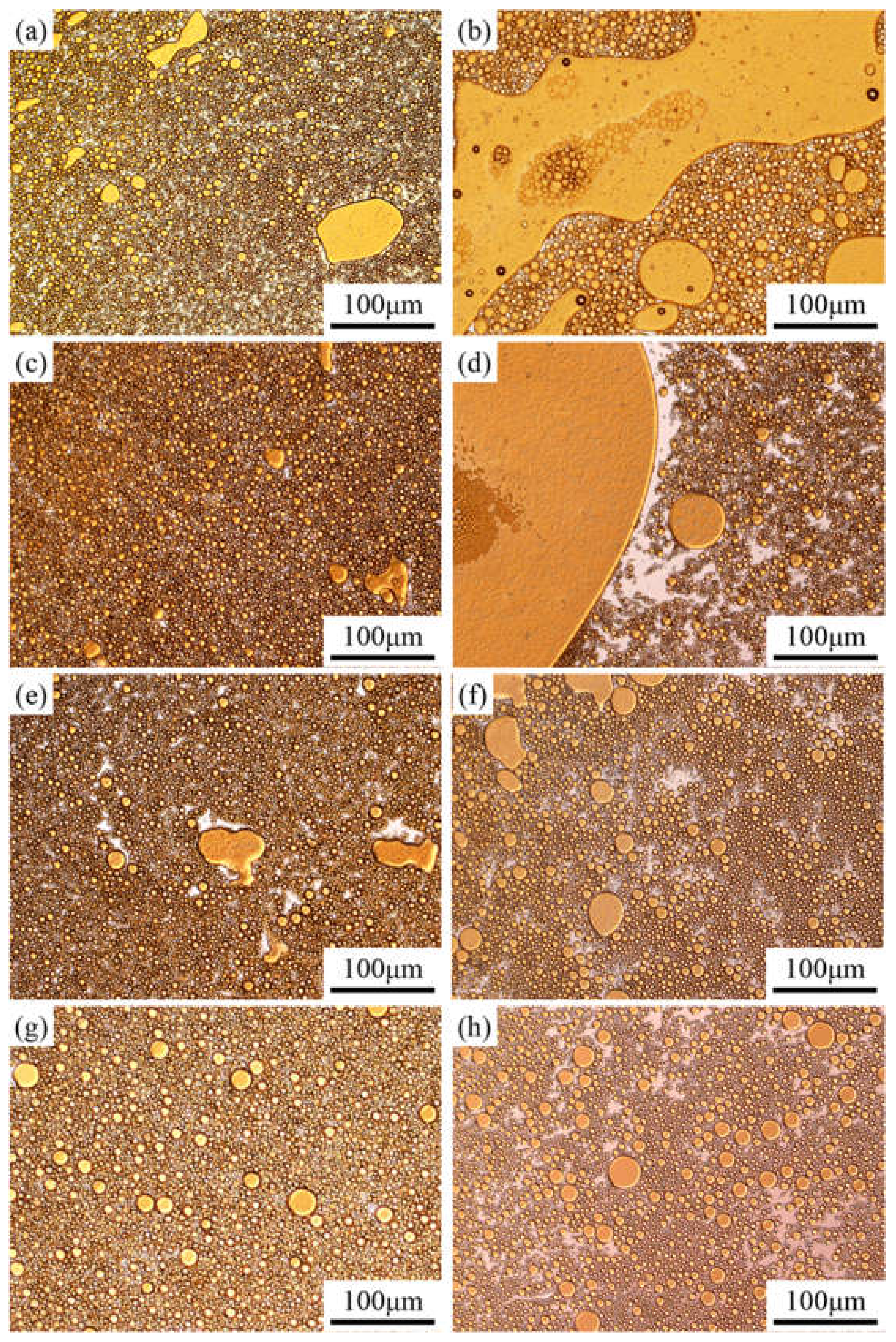 Polymers 13 04041 g005