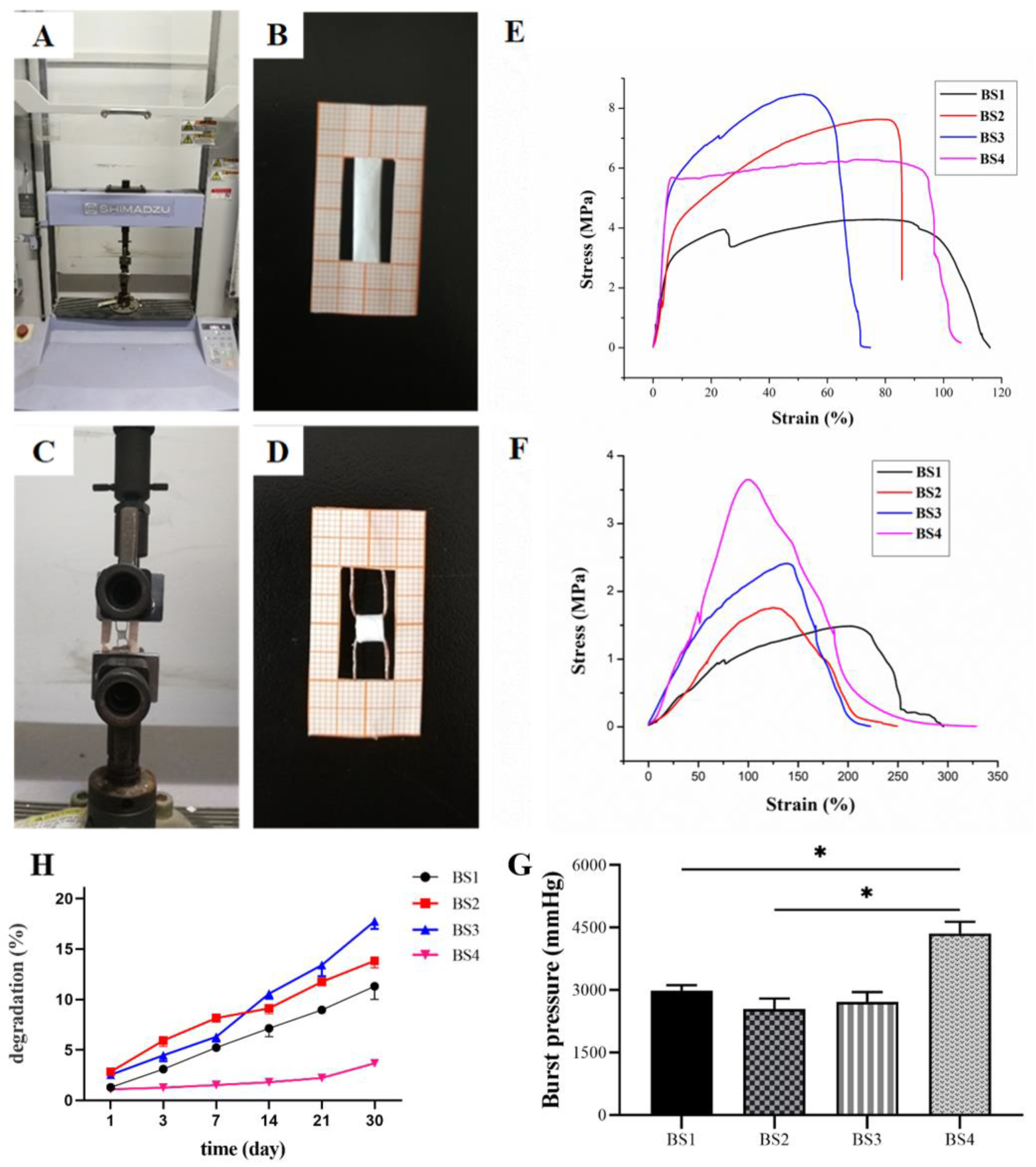 Polymers 13 04042 g002