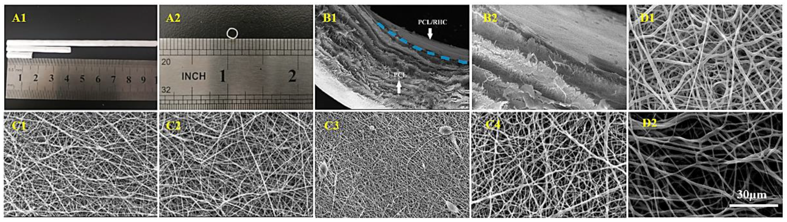 Polymers 13 04042 g003
