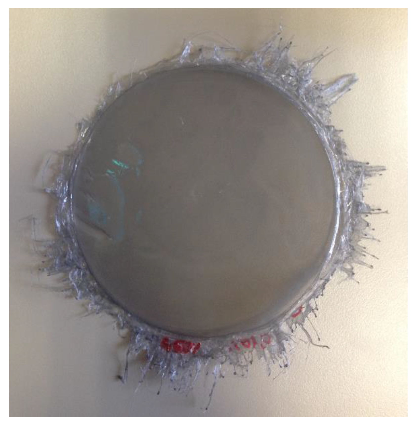 Polymers 13 04043 g005