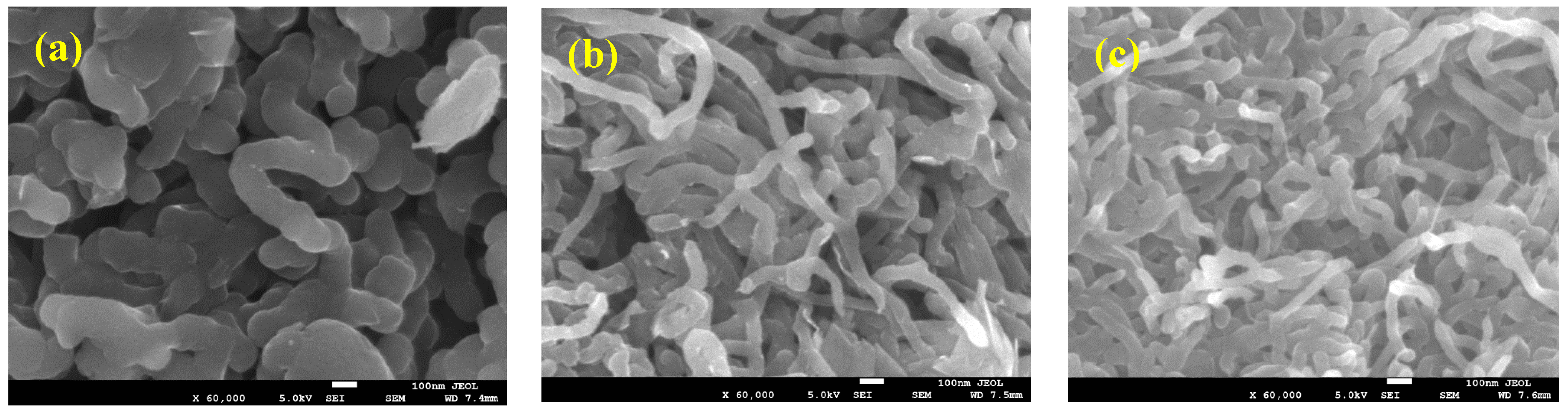 Polymers 13 04045 g001