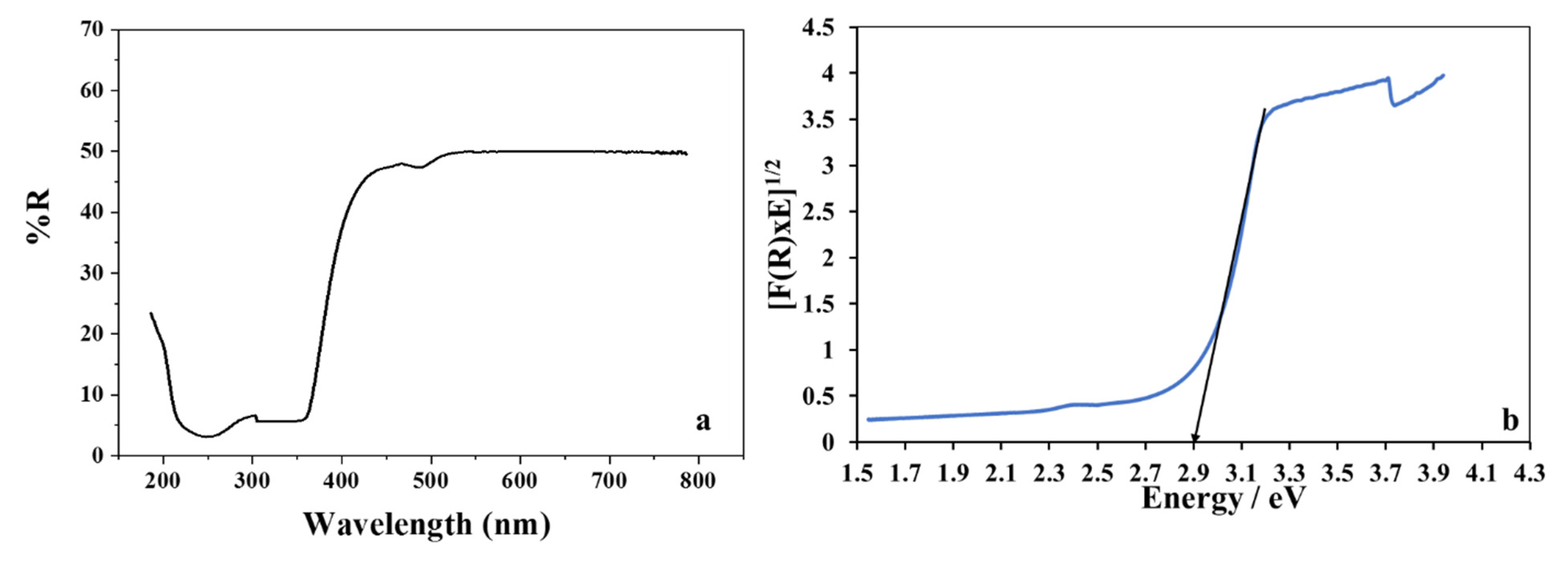 Polymers 13 04047 g003