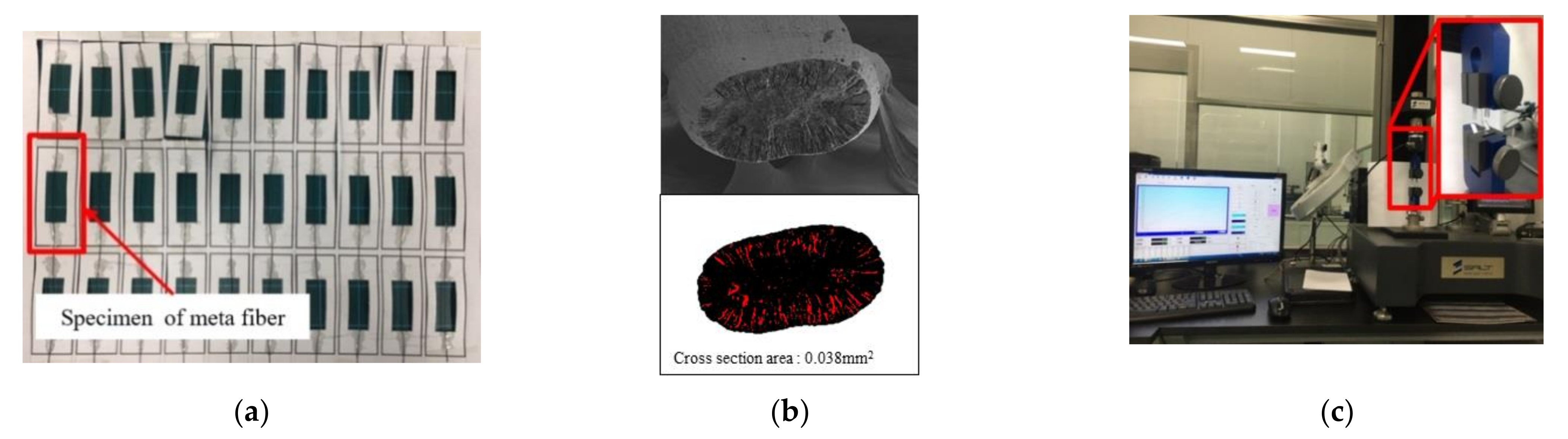 Polymers 13 04048 g002