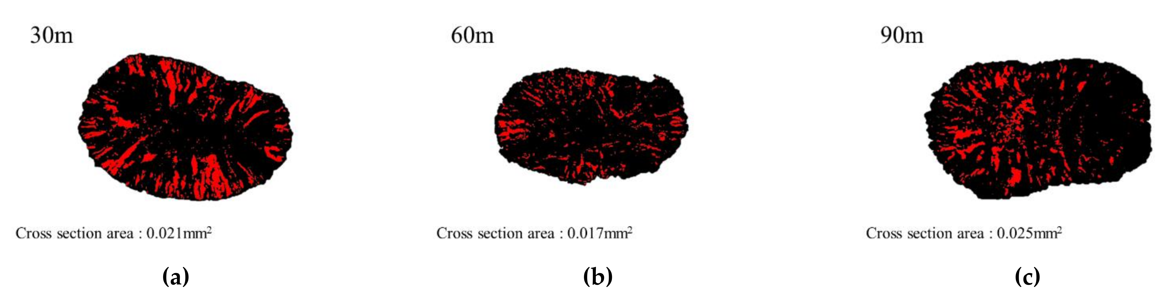 Polymers 13 04048 g004
