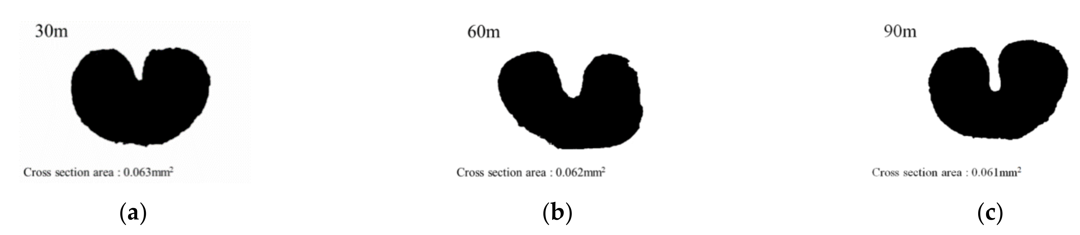 Polymers 13 04048 g008