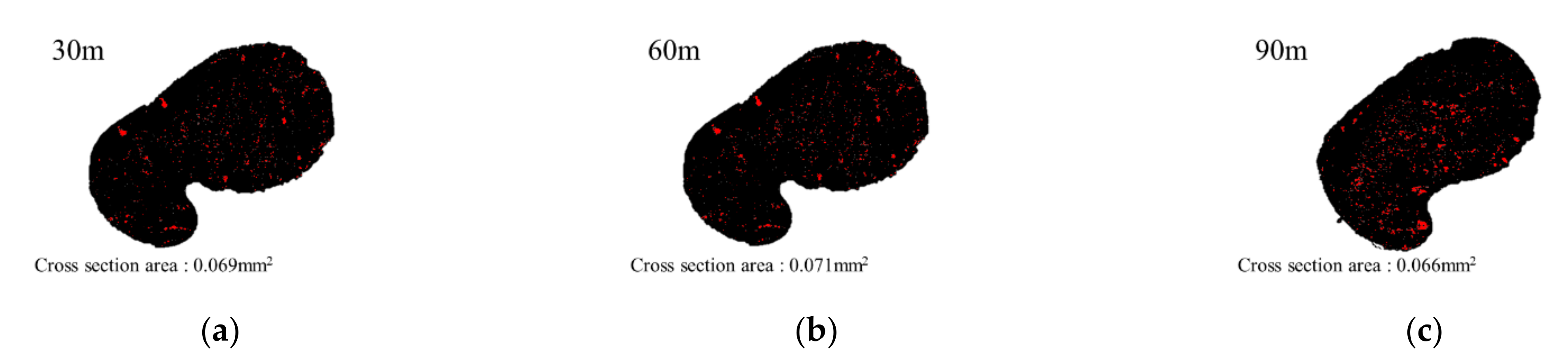Polymers 13 04048 g009