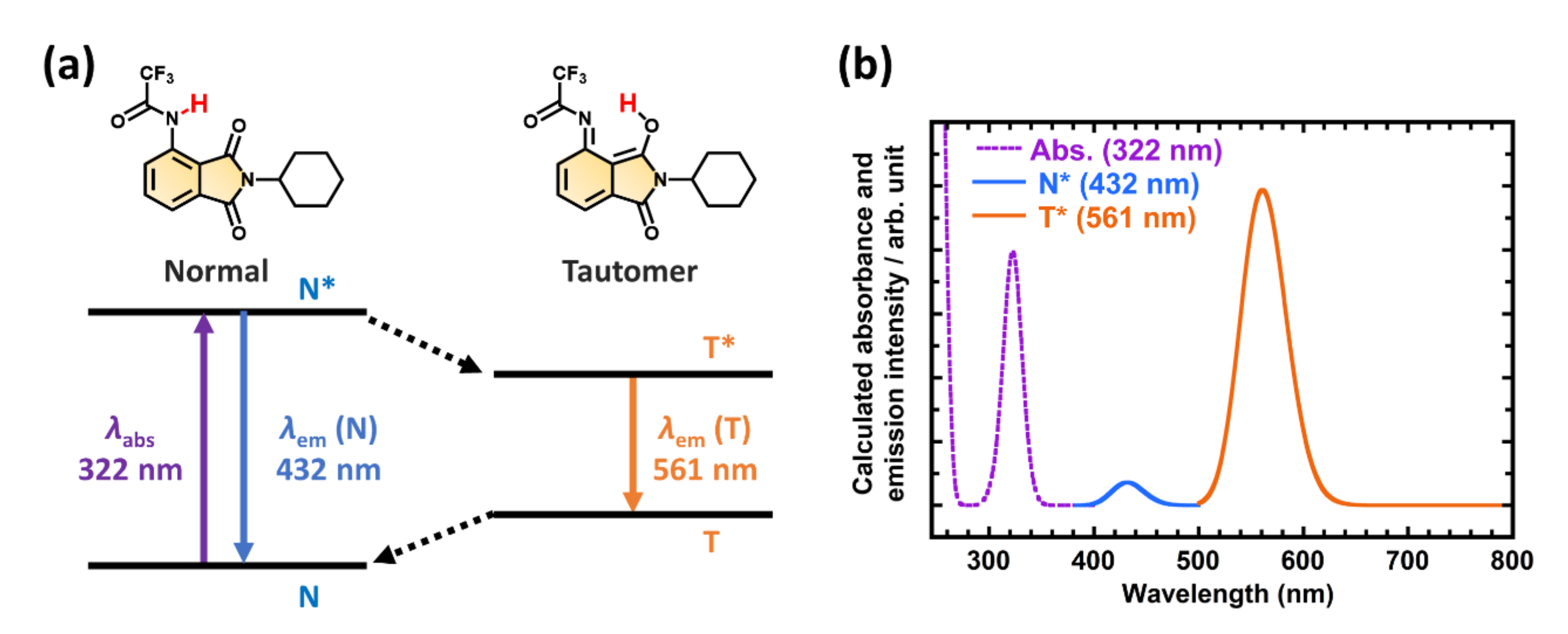 Polymers 13 04050 g001