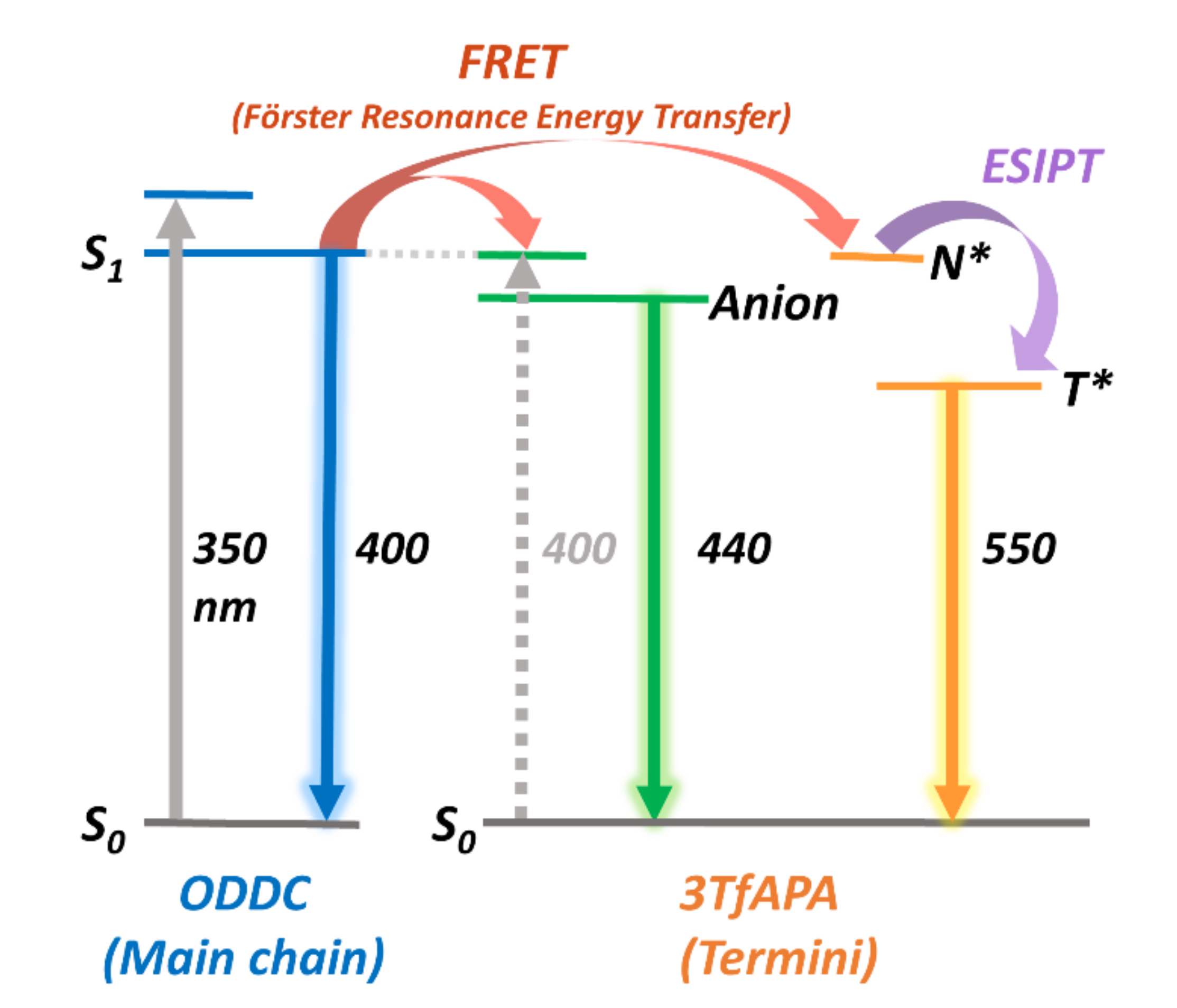Polymers 13 04050 g006