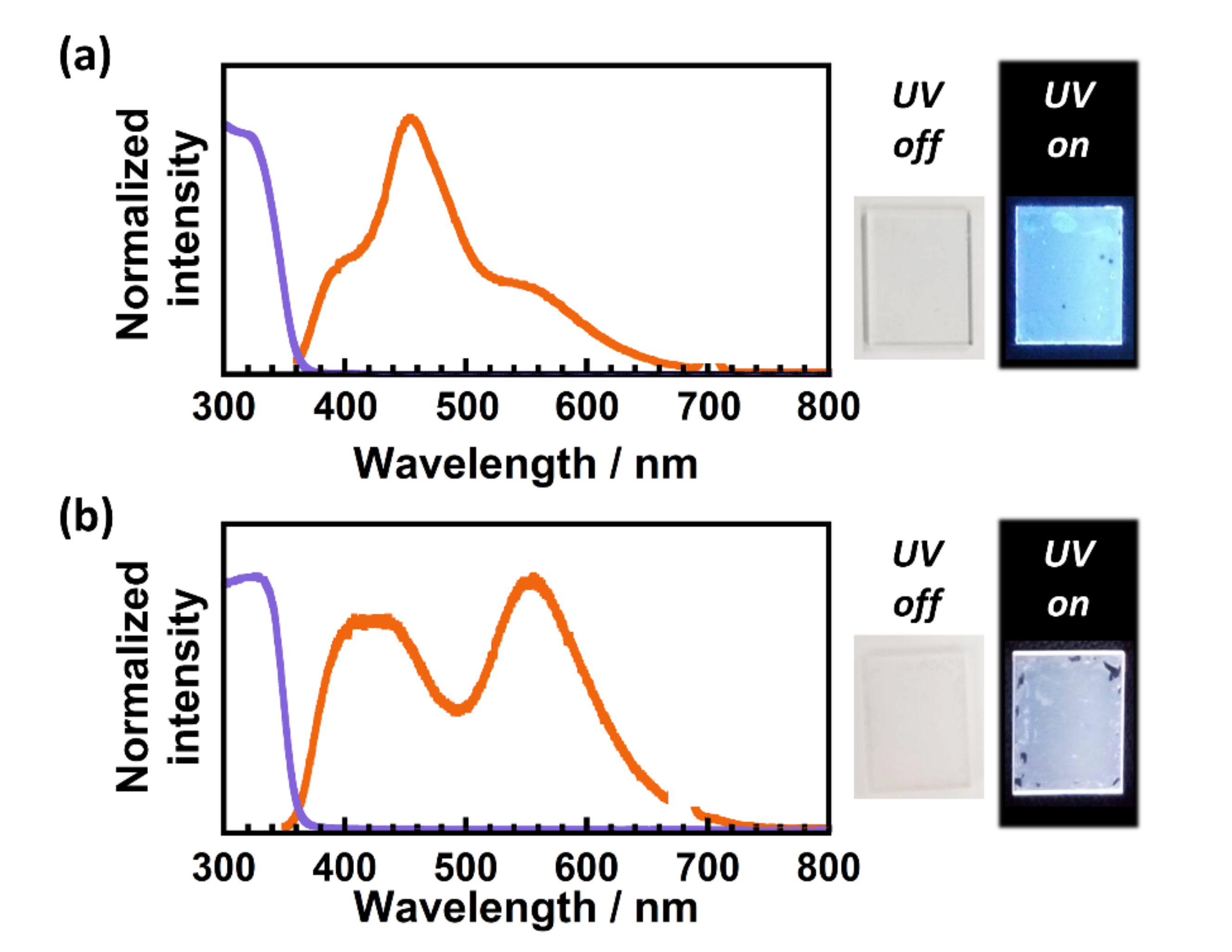 Polymers 13 04050 g007