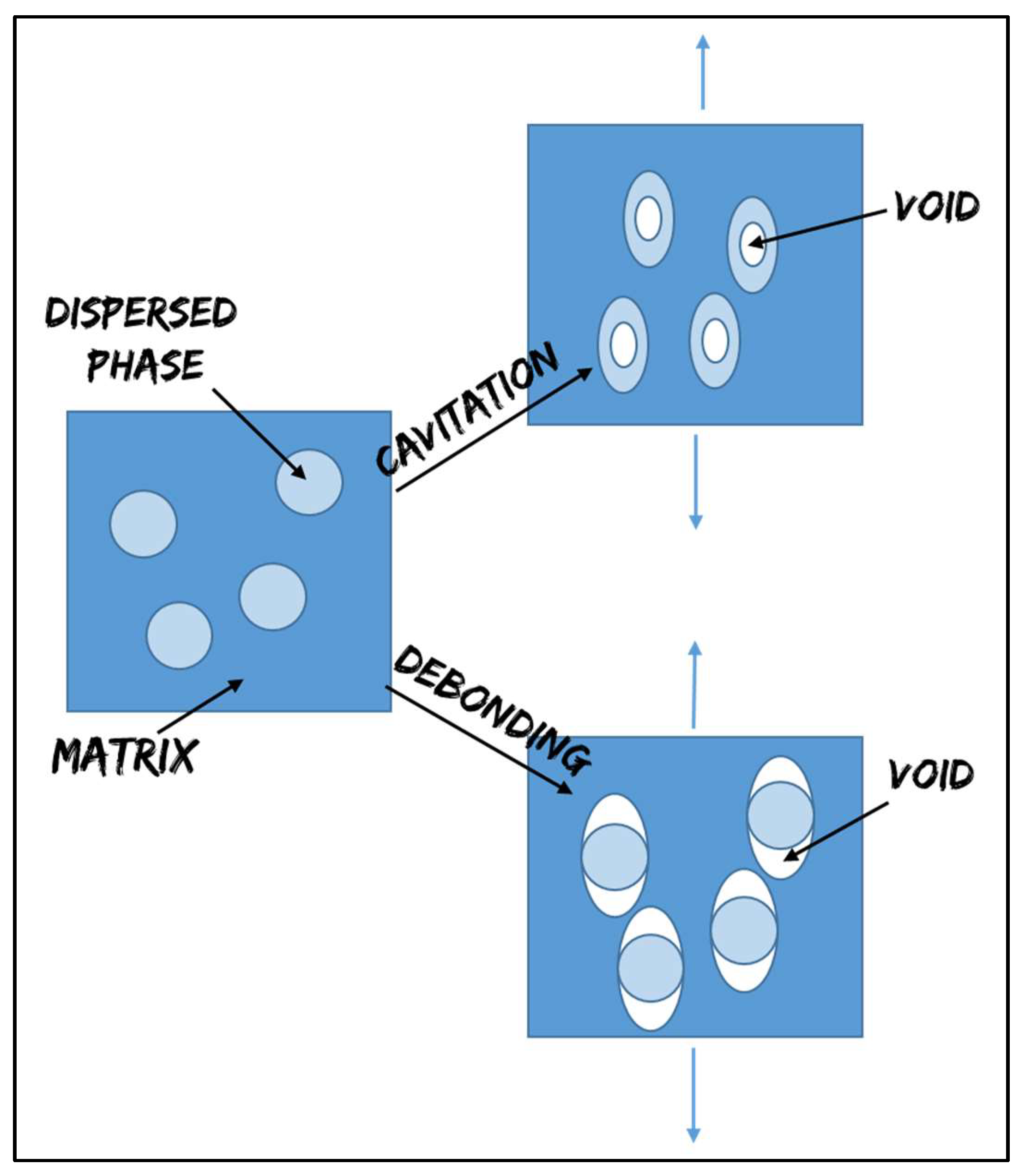 Polymers 13 04053 g001