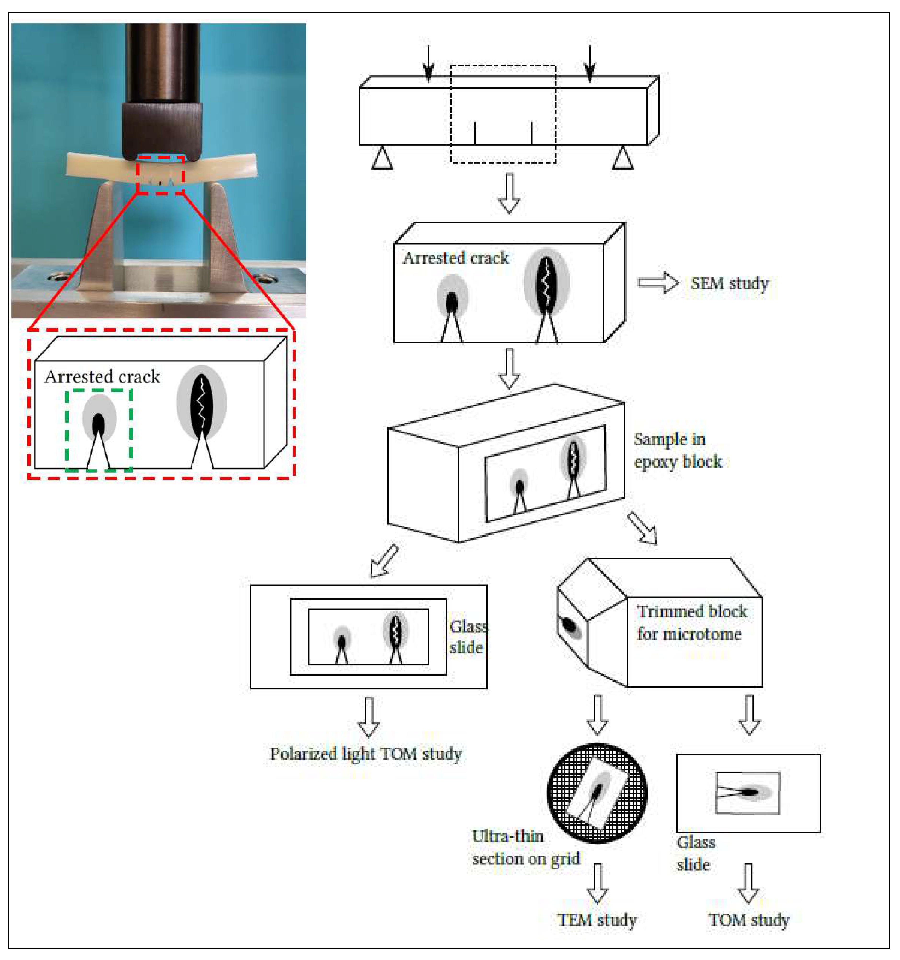 Polymers 13 04053 g003
