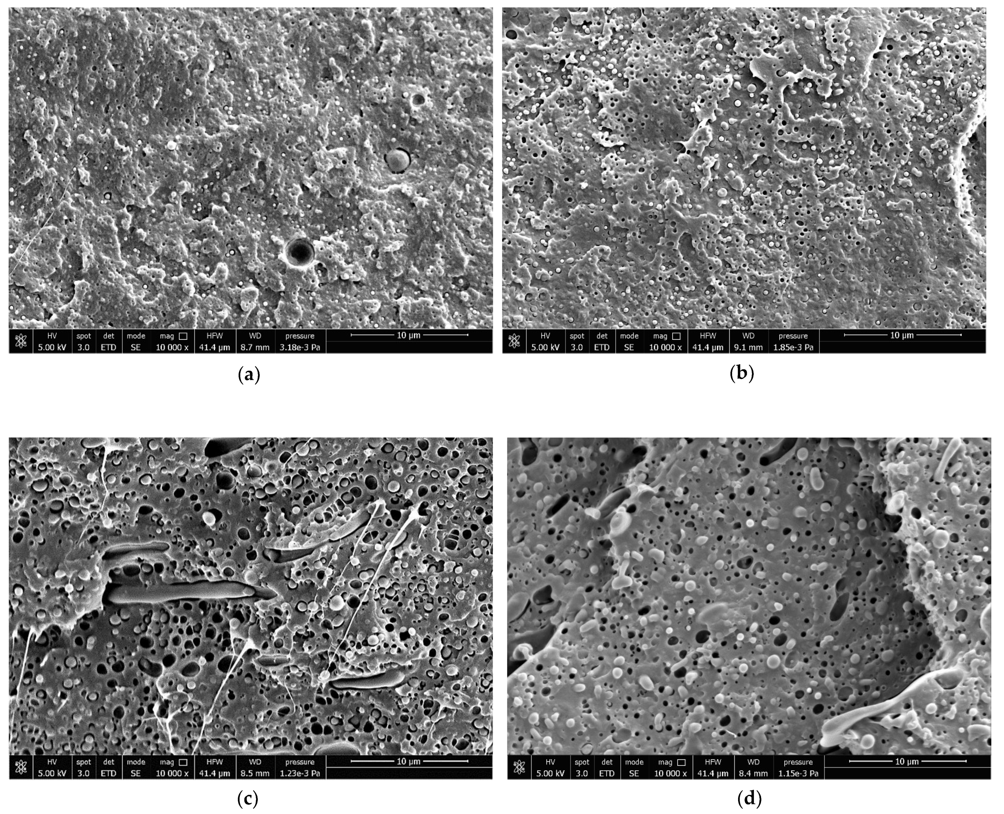 Polymers 13 04053 g004
