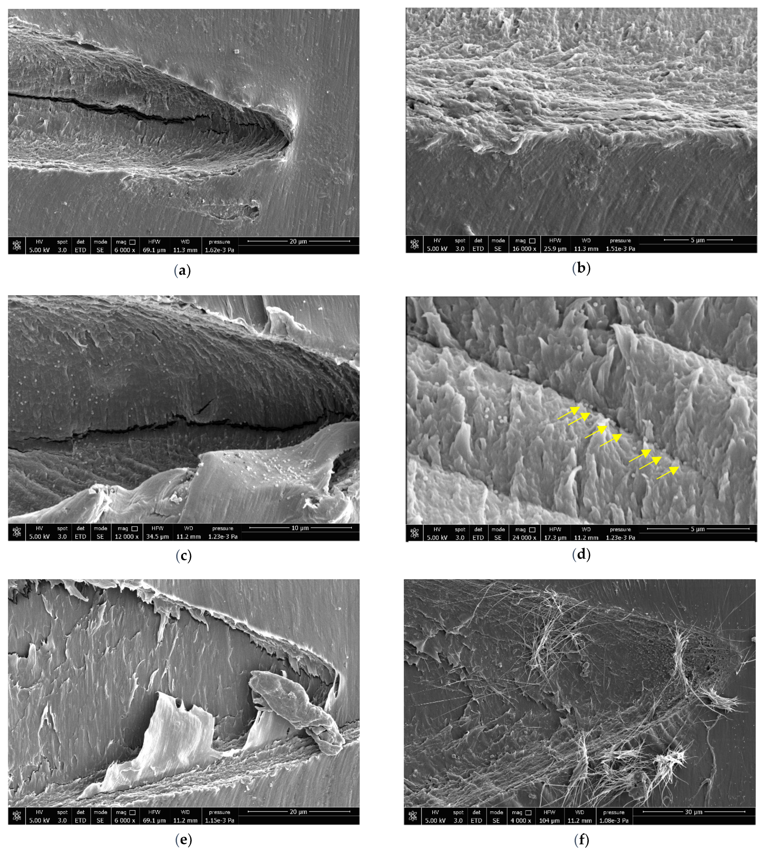 Polymers 13 04053 g005