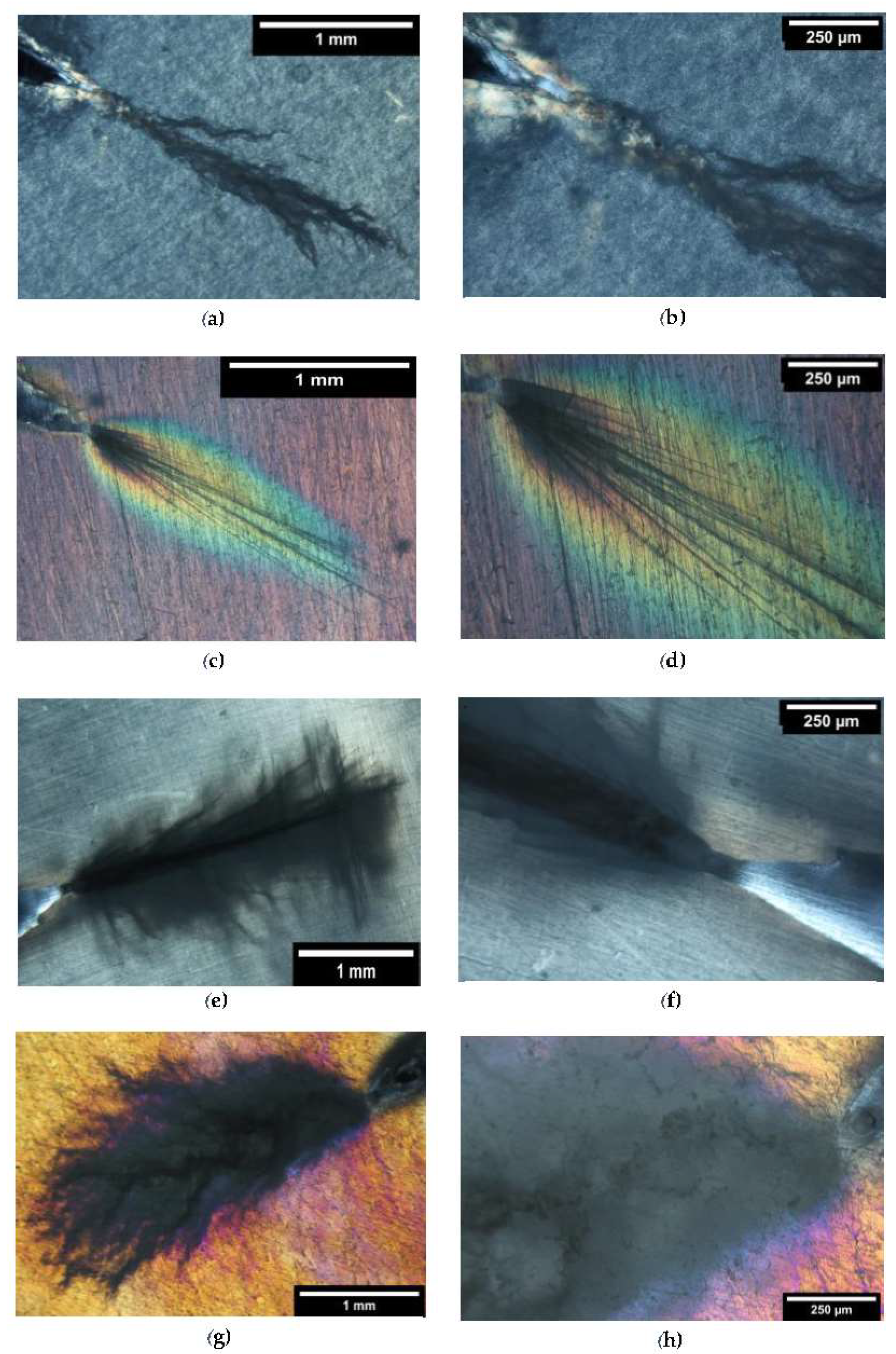 Polymers 13 04053 g006