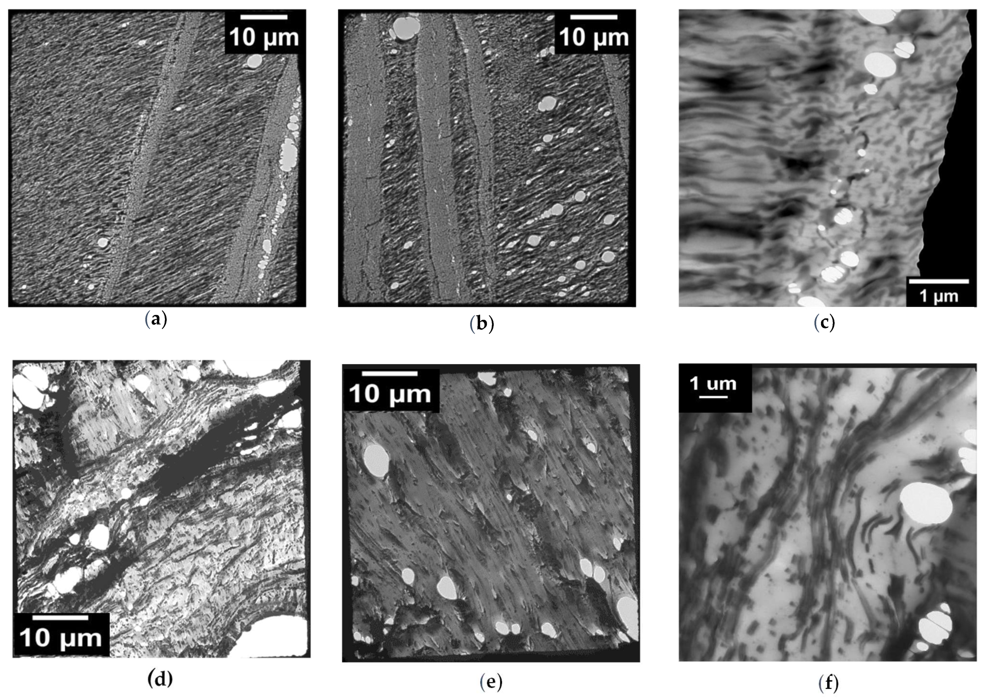 Polymers 13 04053 g008