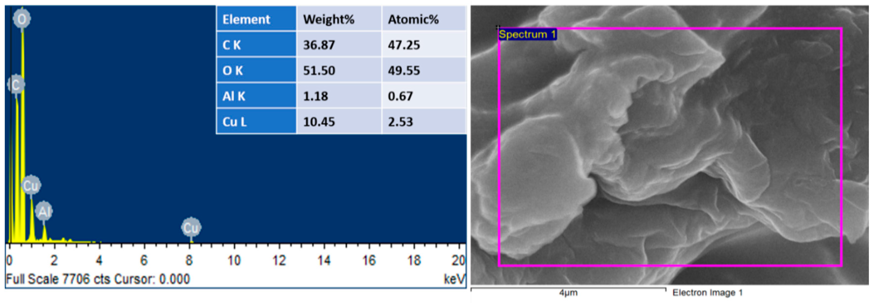 Polymers 13 04054 g002