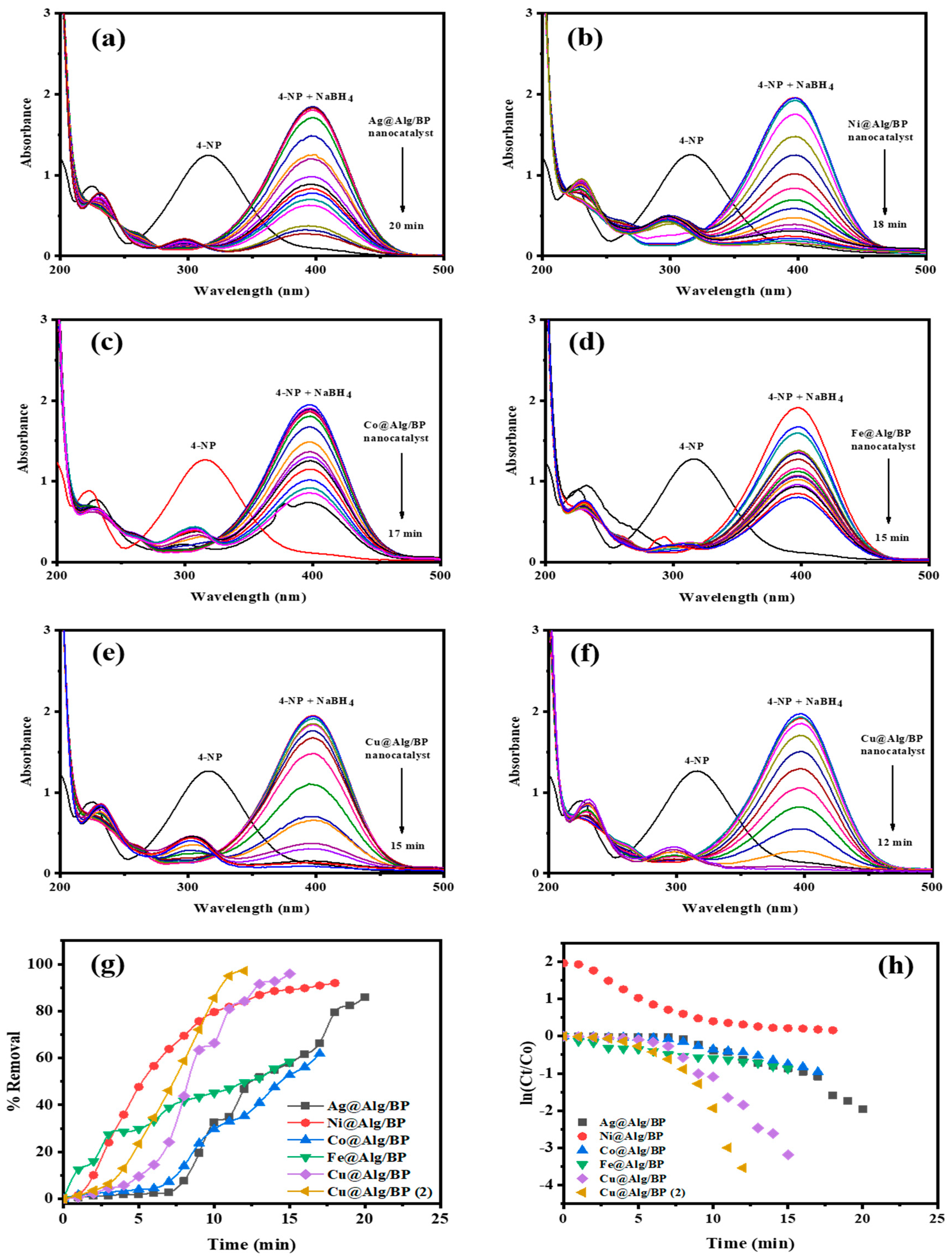 Polymers 13 04054 g003
