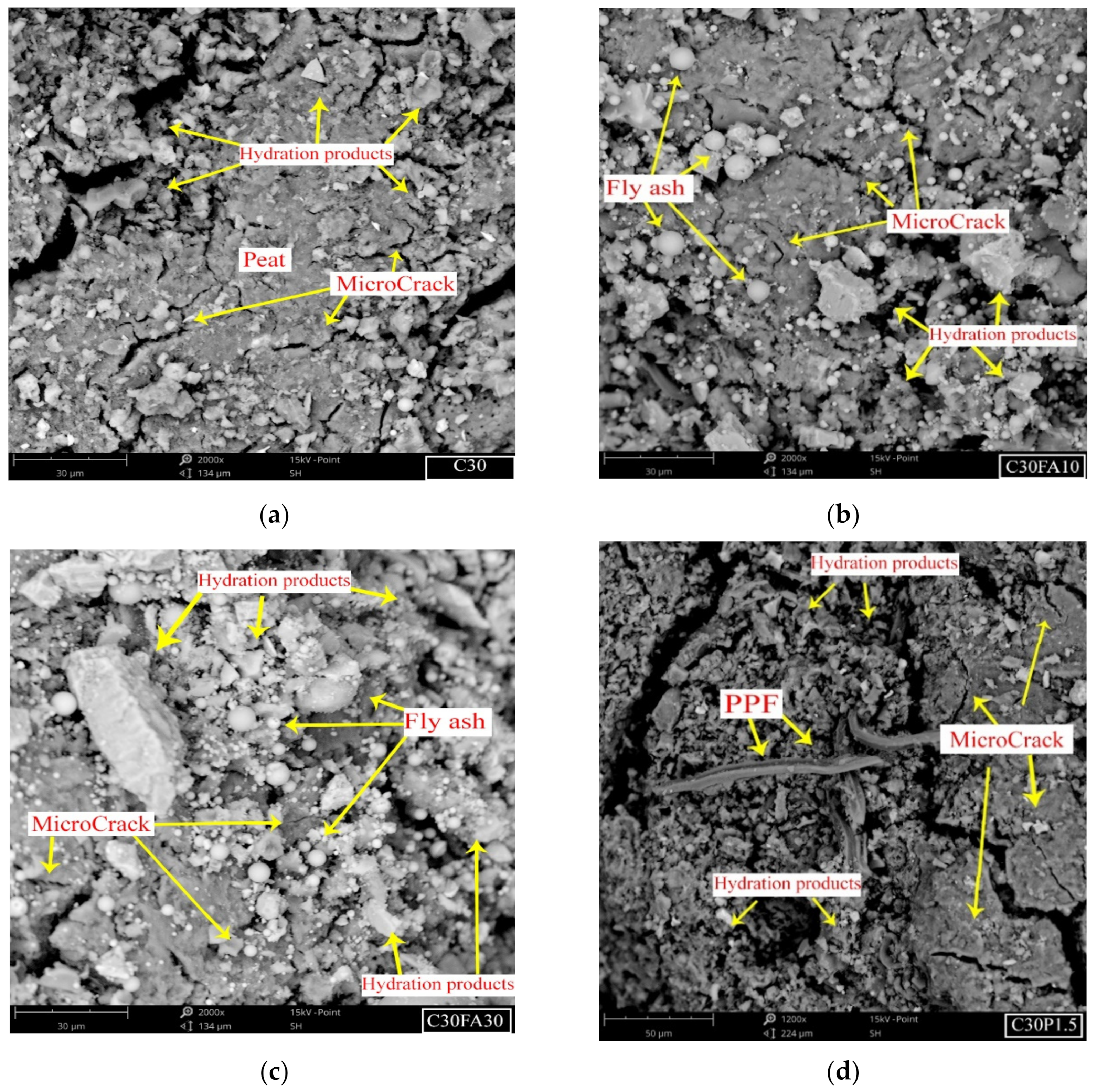 Polymers 13 04059 g012