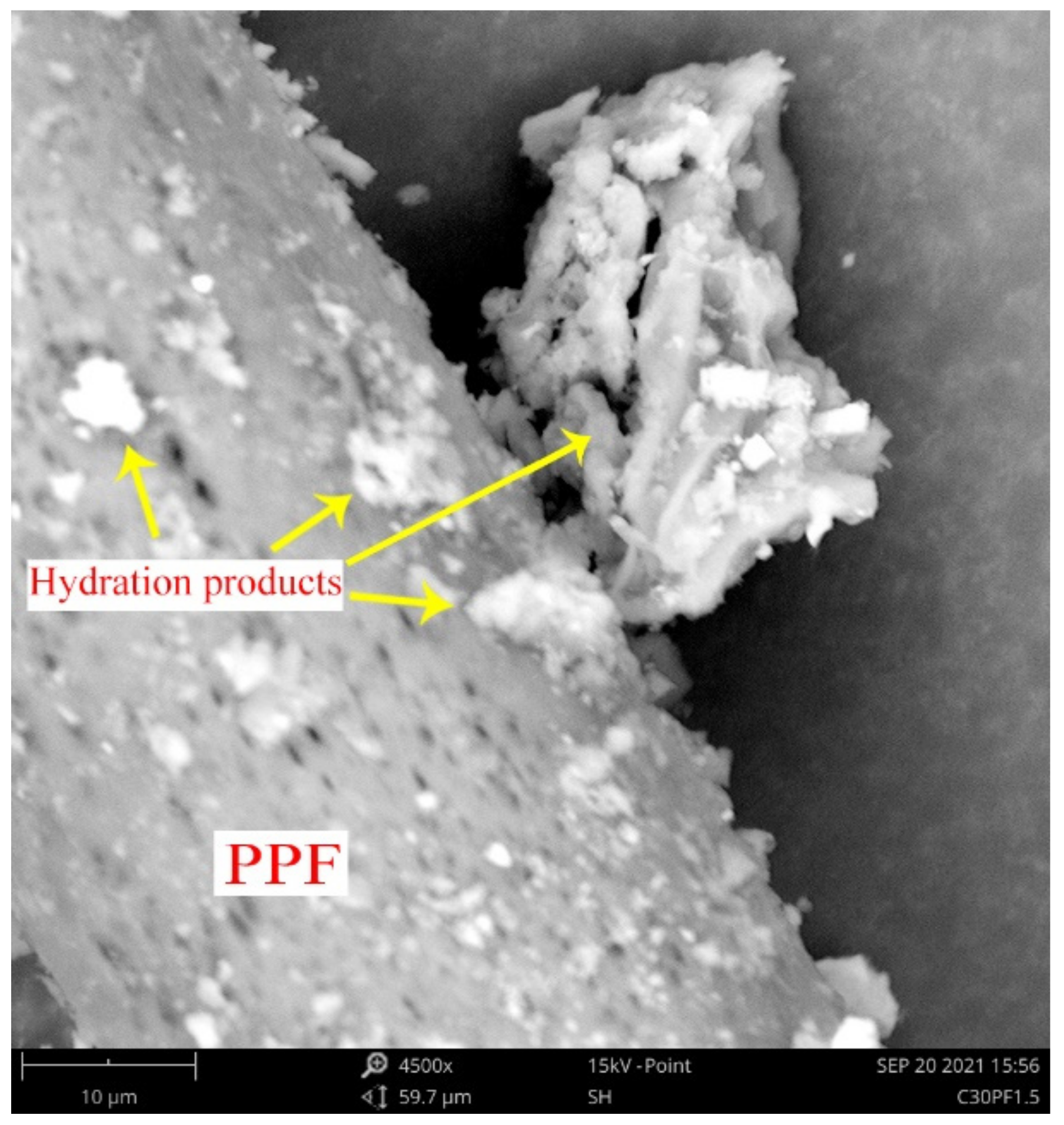 Polymers 13 04059 g013