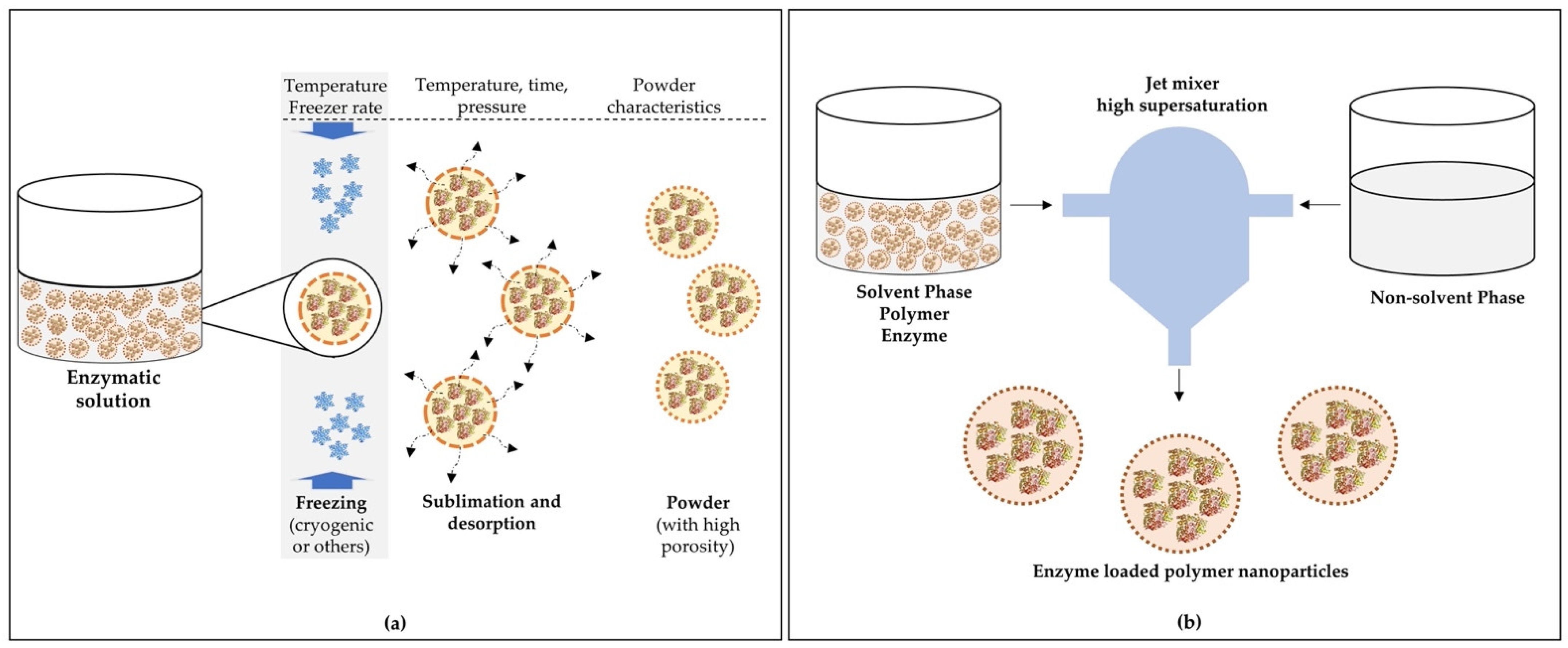 Polymers 13 04061 g002