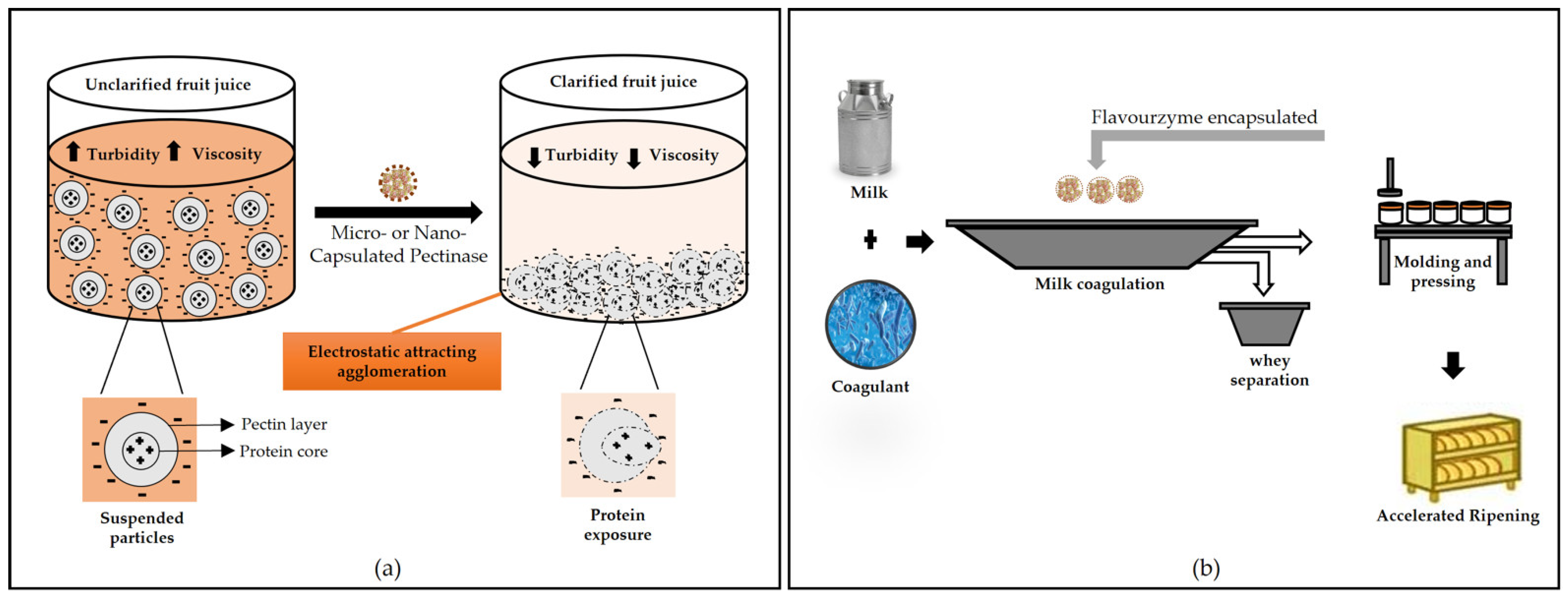 Polymers 13 04061 g005a