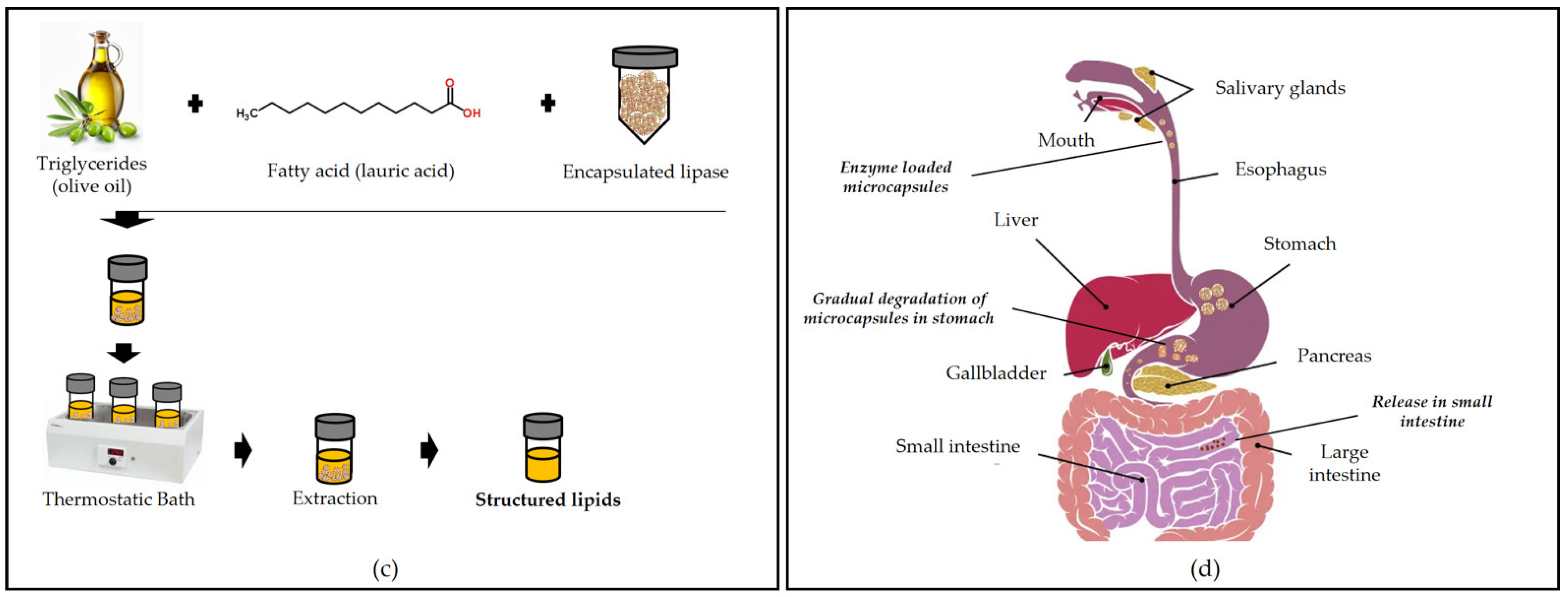 Polymers 13 04061 g005b