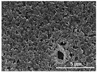 Polymers 13 04062 i001 Polymers 13 04062 i001