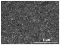 Polymers 13 04062 i002 Polymers 13 04062 i002