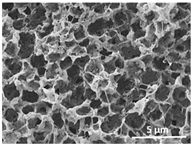 Polymers 13 04062 i004 Polymers 13 04062 i004