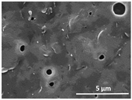 Polymers 13 04062 i005 Polymers 13 04062 i005