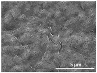 Polymers 13 04062 i006 Polymers 13 04062 i006