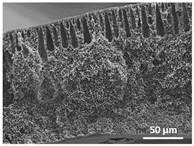 Polymers 13 04062 i007 Polymers 13 04062 i007