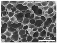 Polymers 13 04062 i008 Polymers 13 04062 i008