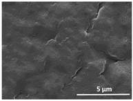 Polymers 13 04062 i010 Polymers 13 04062 i010