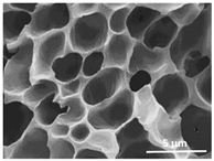 Polymers 13 04062 i012 Polymers 13 04062 i012