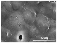 Polymers 13 04062 i013 Polymers 13 04062 i013