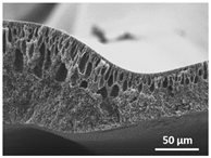 Polymers 13 04062 i015 Polymers 13 04062 i015