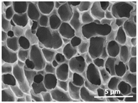 Polymers 13 04062 i016 Polymers 13 04062 i016