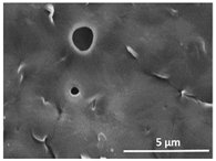 Polymers 13 04062 i017 Polymers 13 04062 i017