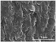 Polymers 13 04062 i018 Polymers 13 04062 i018