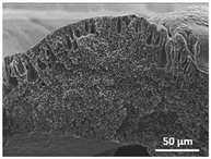 Polymers 13 04062 i019 Polymers 13 04062 i019