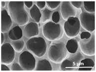 Polymers 13 04062 i020 Polymers 13 04062 i020