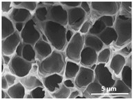 Polymers 13 04062 i024 Polymers 13 04062 i024