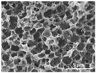 Polymers 13 04062 i028 Polymers 13 04062 i028
