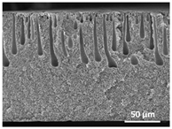 Polymers 13 04062 i035 Polymers 13 04062 i035