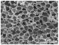 Polymers 13 04062 i036 Polymers 13 04062 i036