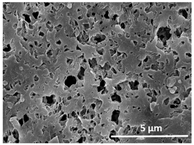 Polymers 13 04062 i038 Polymers 13 04062 i038