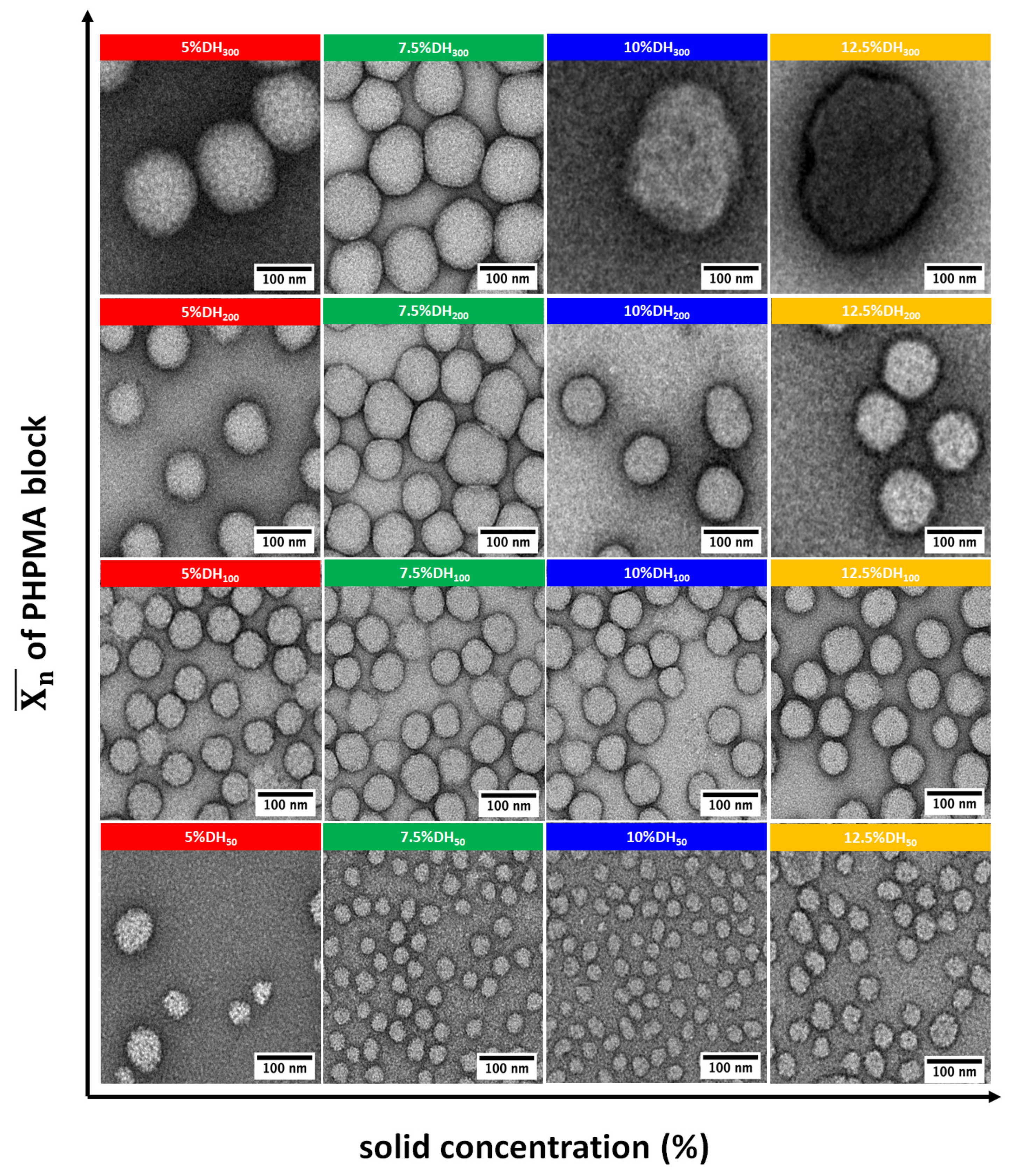 Polymers 13 04064 g004