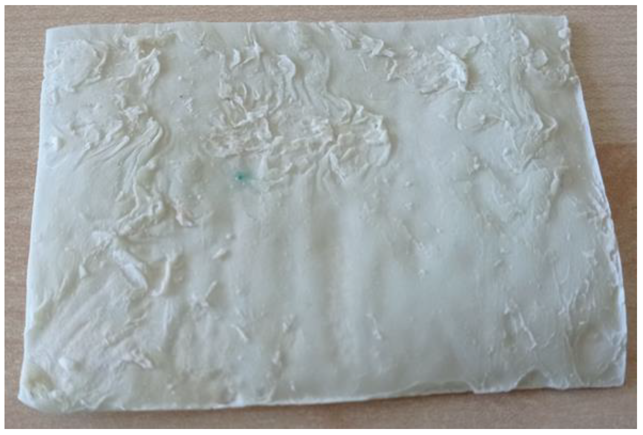 Polymers 13 04065 g005